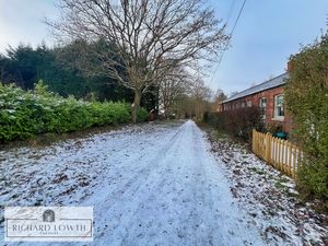 Lane- click for photo gallery